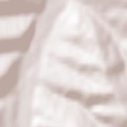 Biały Dunajec Terrain Map