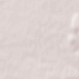 Lityns’kyy Rayon Terrain Map