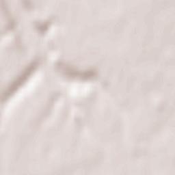 Beuzeville Terrain Map