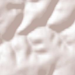 Obernheim-Kirchenarnbach Terrain Map