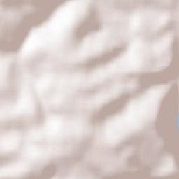 Obrigheim Terrain Map