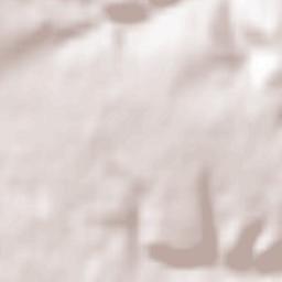 Neufchef Terrain Map