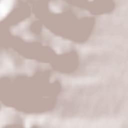 Sankt Martin Terrain Map