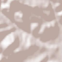 Vyšné Ružbachy Terrain Map