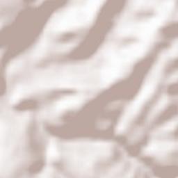 Waldfischbach-Burgalben Terrain Map