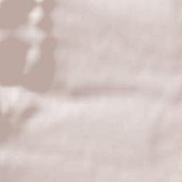 Edenkoben Terrain Map