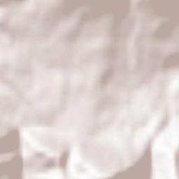 Kościelisko Terrain Map