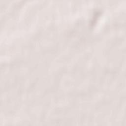 Leonidovo Terrain Map