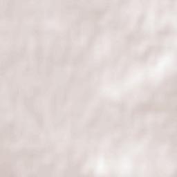 Arbutus Ridge Terrain Map