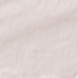 Lingenfeld Terrain Map