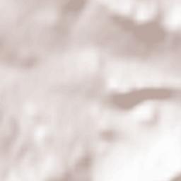 Neukirchen Terrain Map