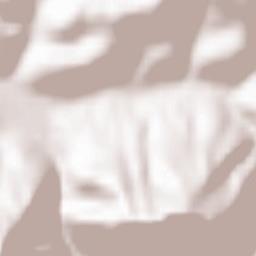 Terchová Terrain Map