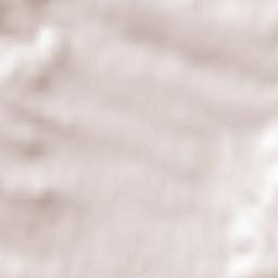 Říčany Terrain Map