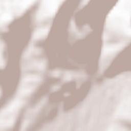 Krasňany Terrain Map