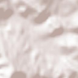 Skhidnytsya Terrain Map