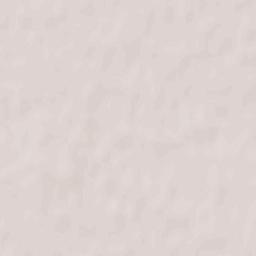 Deloraine Terrain Map