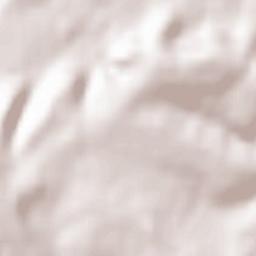 Spicheren Terrain Map