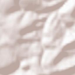 Pirmasens Terrain Map