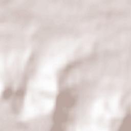 Waldenburg Terrain Map