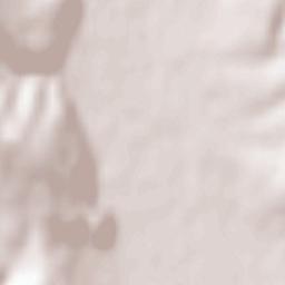 Stropkov Terrain Map