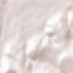 Morsbach Terrain Map