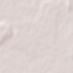 Halyts’kyy Rayon Terrain Map