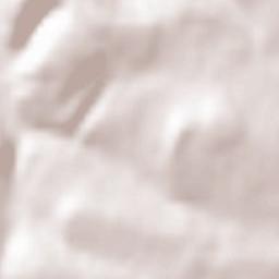 Cocheren Terrain Map