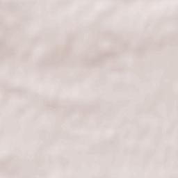 Billigheim-Ingenheim Terrain Map