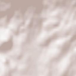 Arnbruck Terrain Map