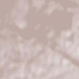 Vysoké Tatry Terrain Map