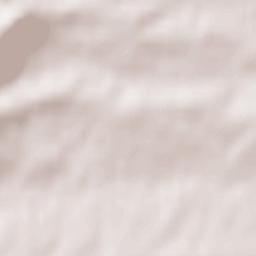 Bad Bergzabern Terrain Map