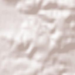 Regenstauf Terrain Map