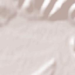 Verkhnie Synevydne Terrain Map