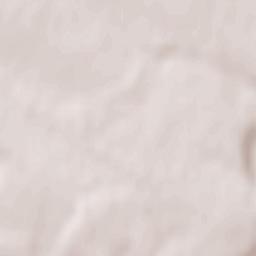 Husiatyn Terrain Map