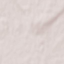 Autozavodskoy Raion Terrain Map