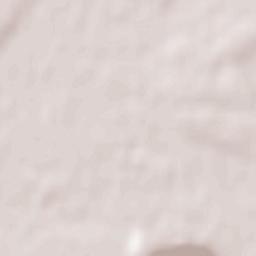 Krukovskiy Raion Terrain Map