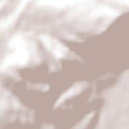 Abbotsford Terrain Map