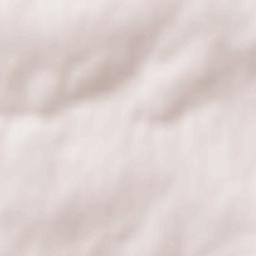 Saint-Amand Terrain Map