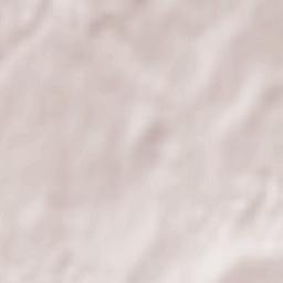 Teting-sur-Nied Terrain Map