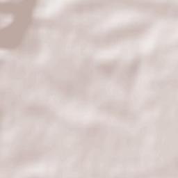 Schweigen-Rechtenbach Terrain Map