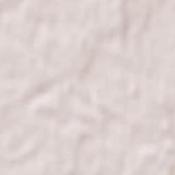 Wörth am Rhein Terrain Map