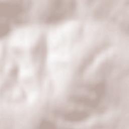 Boršice Terrain Map