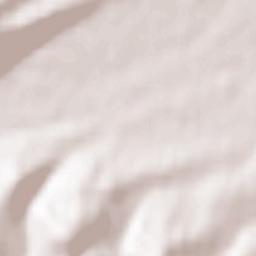 Bolekhivs’ka Mis’krada Terrain Map