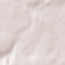 Kamianka Terrain Map