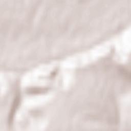 Svyatogorsk Terrain Map