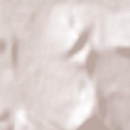 Spišské Podhradie Terrain Map