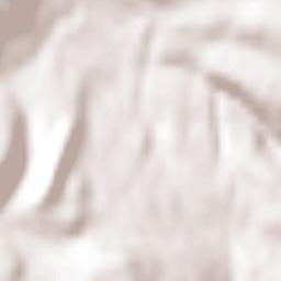 Corner Brook Terrain Map