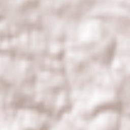 Rinchnach Terrain Map