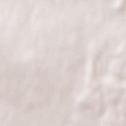 Vacenovice Terrain Map