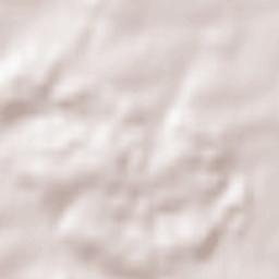 Alteglofsheim Terrain Map